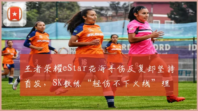 王者荣耀eStar花海手伤反复却坚持首发，SK教练“轻伤不下火线”理念被批反科学